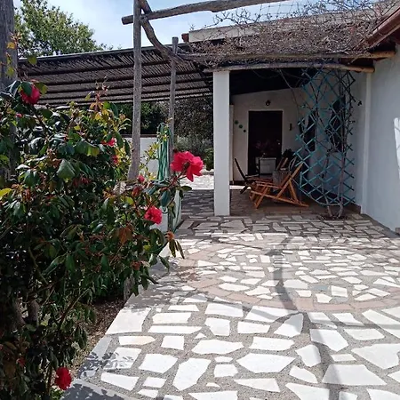 Lupino Orosei
