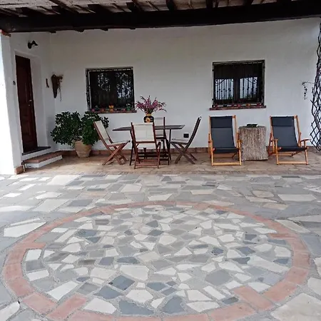 Lupino * אורוסיי