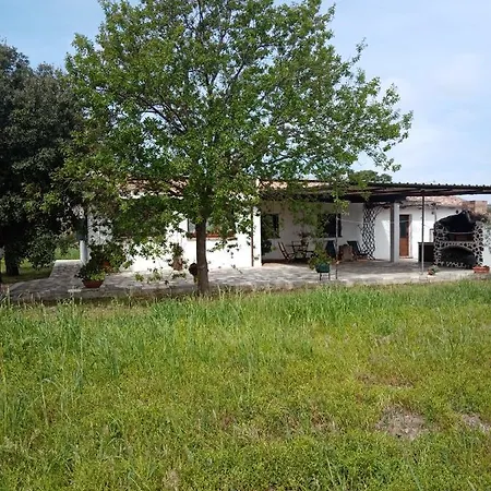 Casa de Férias Lupino *